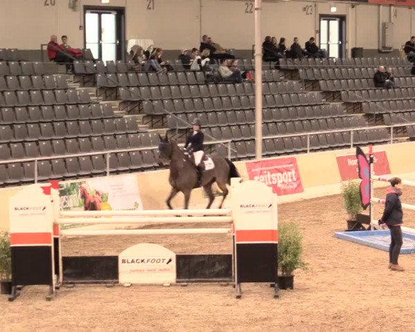Jugend-Challenge Verden 2016