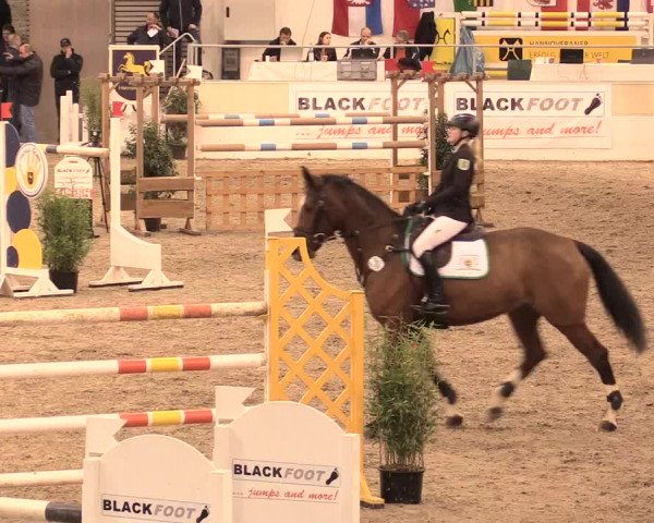 Jugend-Challenge Verden 2016