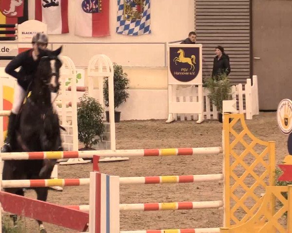 Jugend-Challenge Verden 2016
