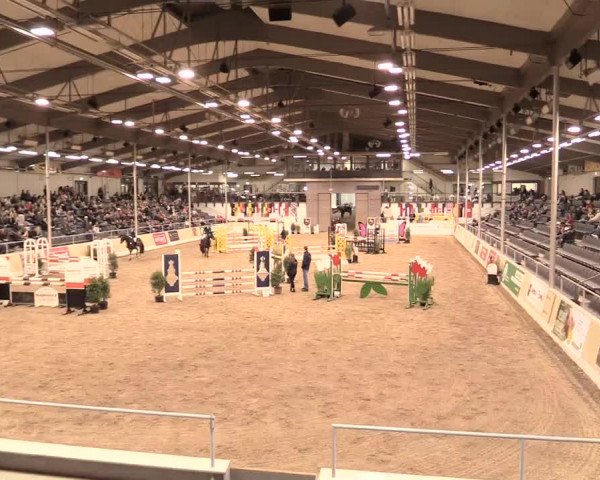 Jugend-Challenge Verden 2016