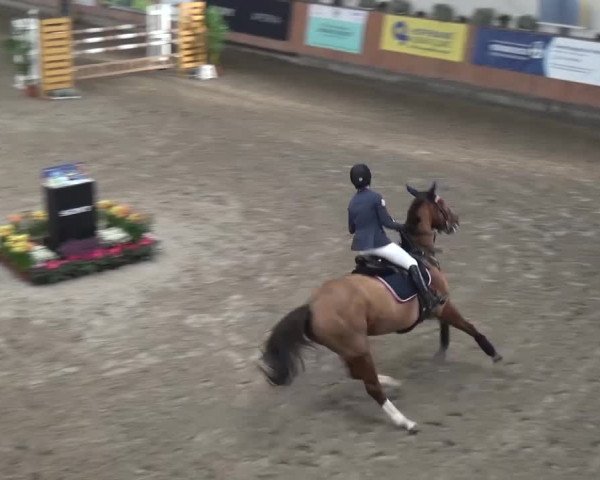 Gut Neuhaus Jugendfestival 2016 - Grevenbroich