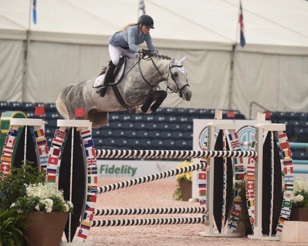 jumper Zolero (Finnish Warmblood, 2012, from Zambesi TN)