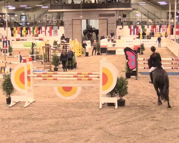Jugend-Challenge Verden 2016