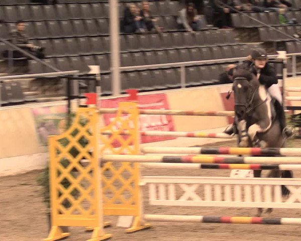 Jugend-Challenge Verden 2016