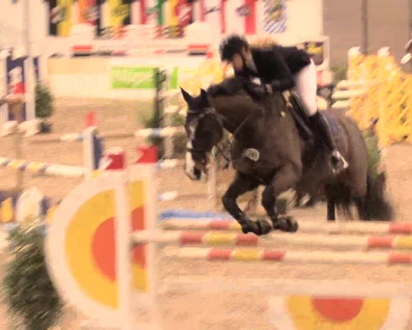 Jugend-Challenge Verden 2016