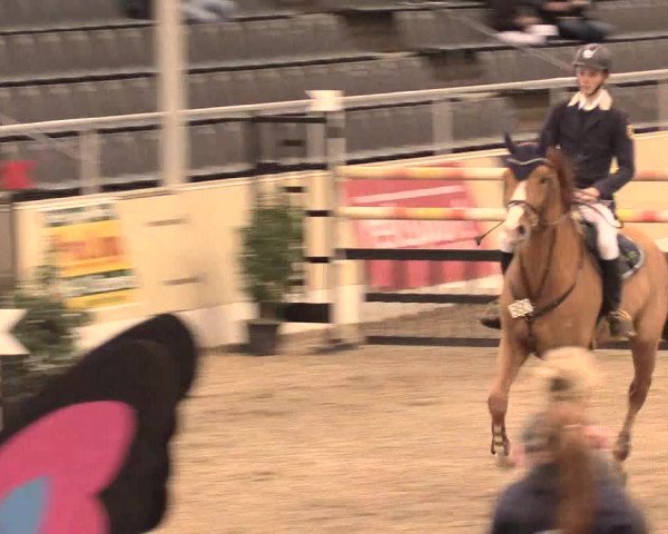 Jugend-Challenge Verden 2016