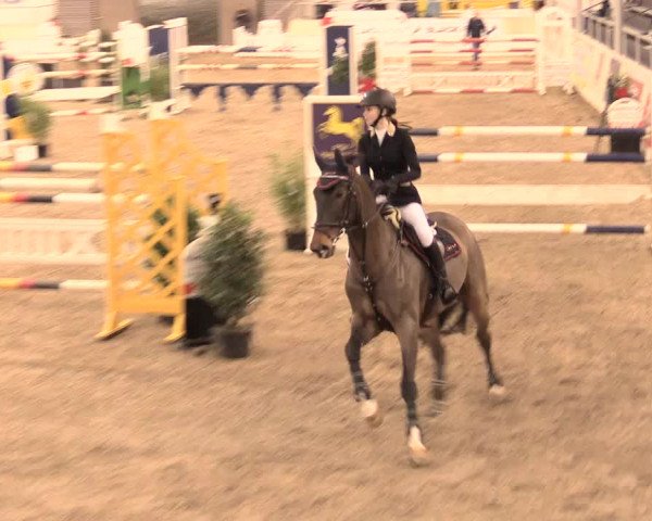 Jugend-Challenge Verden 2016