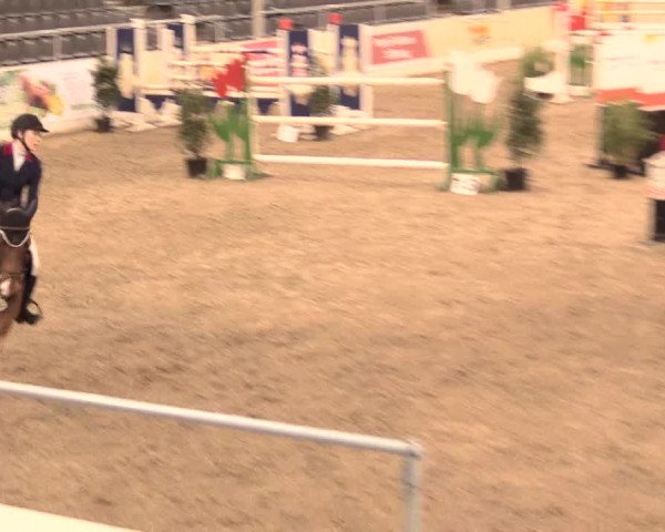 Jugend-Challenge Verden 2016