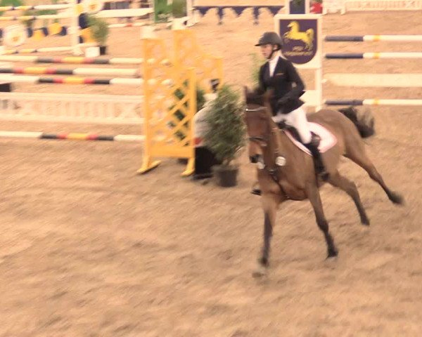 Jugend-Challenge Verden 2016