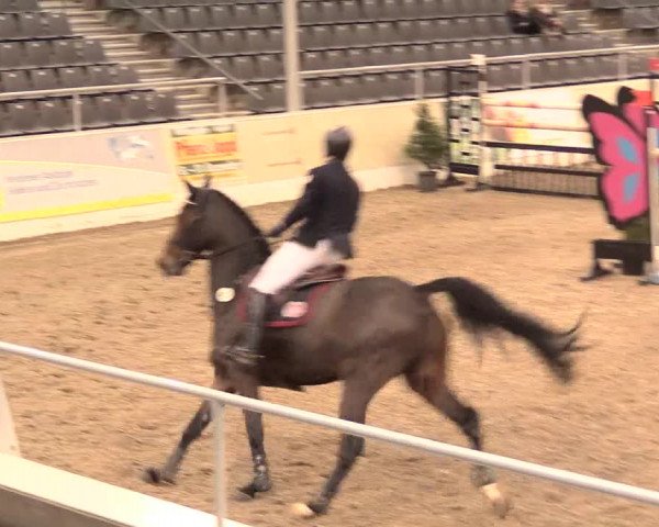 Jugend-Challenge Verden 2016