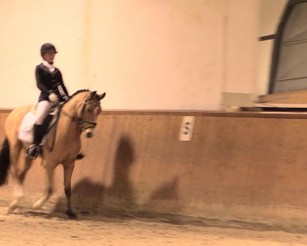 Jugend-Challenge Verden 2016