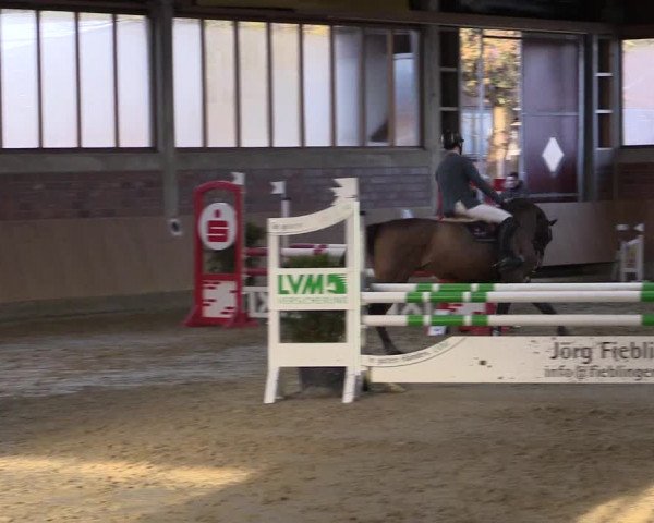 Late-Entry Havixbeck-Hohenholte 2016