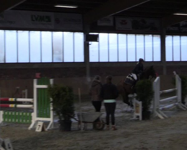 Late-Entry Havixbeck-Hohenholte 2016
