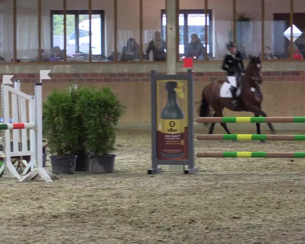 Late-Entry Havixbeck-Hohenholte 2016