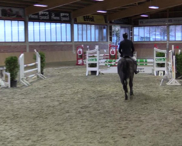 Late-Entry Havixbeck-Hohenholte 2016