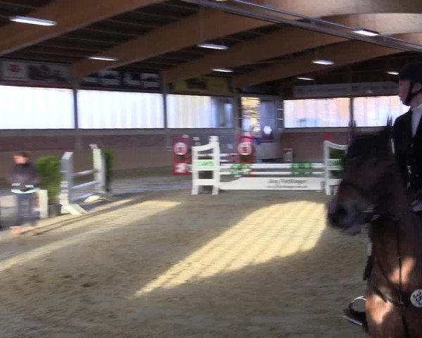Late-Entry Havixbeck-Hohenholte 2016