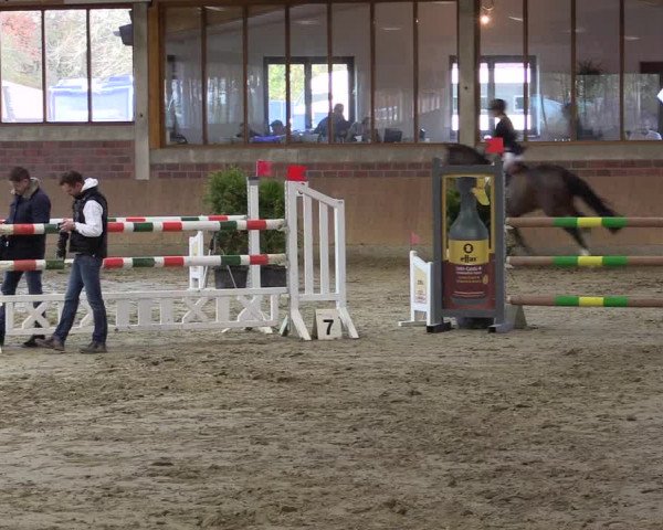 Late-Entry Havixbeck-Hohenholte 2016