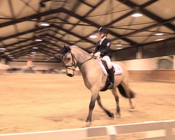 Jugend-Challenge Verden 2016