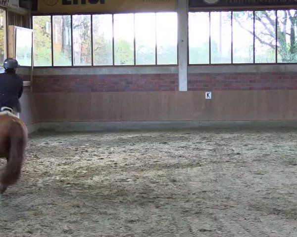 Late-Entry Havixbeck-Hohenholte 2016