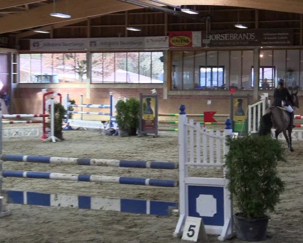 Late-Entry Havixbeck-Hohenholte 2016