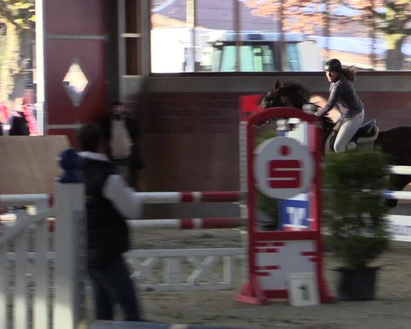 Late-Entry Havixbeck-Hohenholte 2016