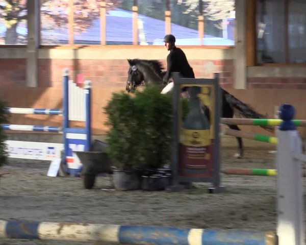Late-Entry Havixbeck-Hohenholte 2016
