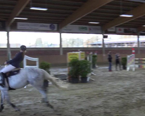 Late-Entry Havixbeck-Hohenholte 2016