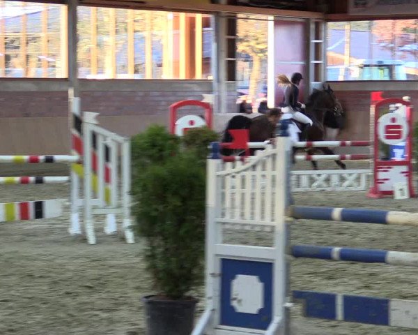 Late-Entry Havixbeck-Hohenholte 2016