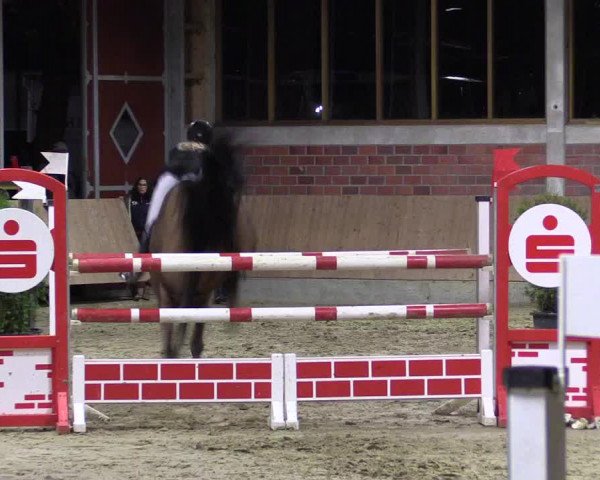 Late-Entry Havixbeck-Hohenholte 2016