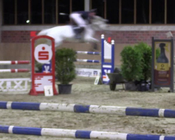 Late-Entry Havixbeck-Hohenholte 2016