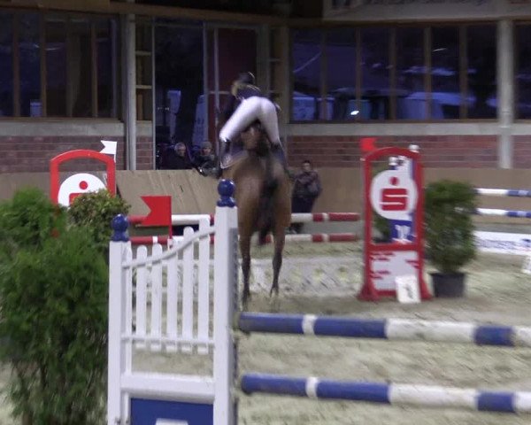 Late-Entry Havixbeck-Hohenholte 2016