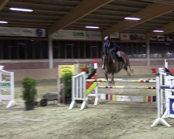 Late-Entry Havixbeck-Hohenholte 2016