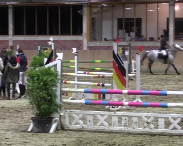 Hallen-Reitturnier Havixbeck-Hohenholte 2016