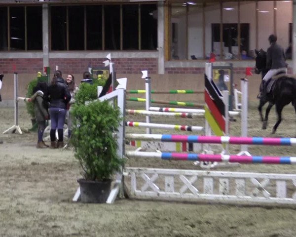 Hallen-Reitturnier Havixbeck-Hohenholte 2016