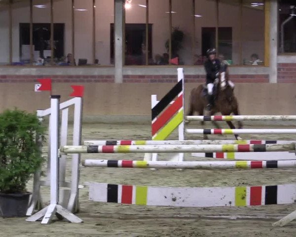 Hallen-Reitturnier Havixbeck-Hohenholte 2016