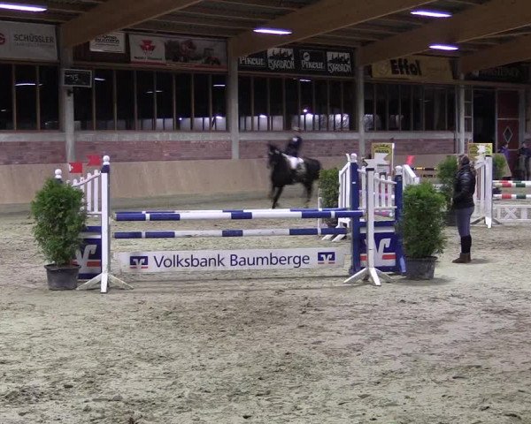 Hallen-Reitturnier Havixbeck-Hohenholte 2016