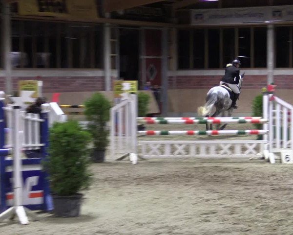 Hallen-Reitturnier Havixbeck-Hohenholte 2016