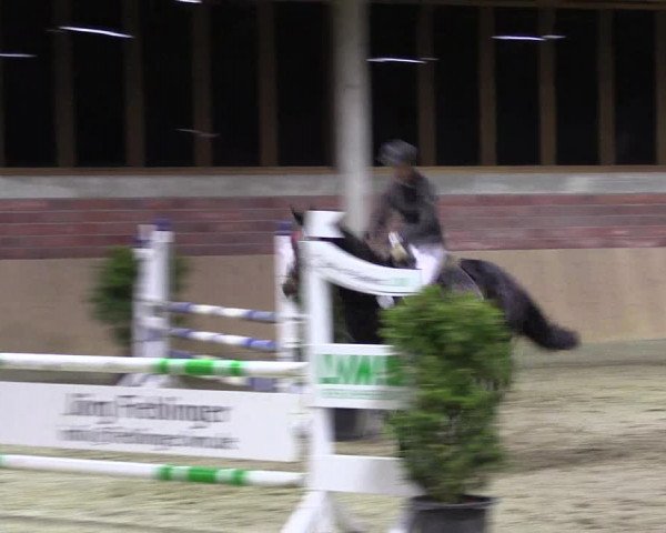 Hallen-Reitturnier Havixbeck-Hohenholte 2016
