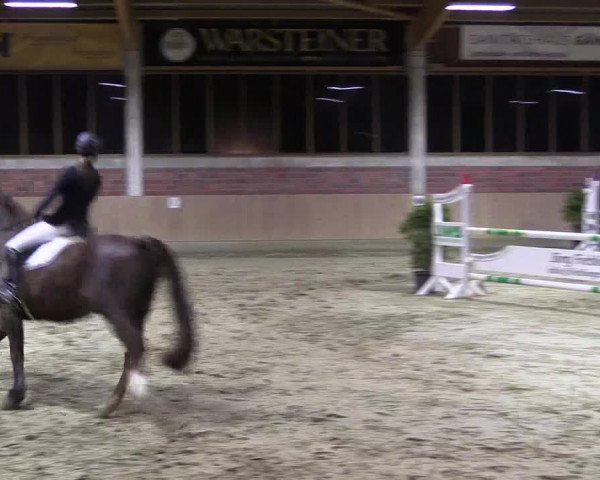 Hallen-Reitturnier Havixbeck-Hohenholte 2016