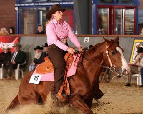 stallion Guns Of Enterprise (Quarter Horse, 2007, from Colonels Smoking Gun)