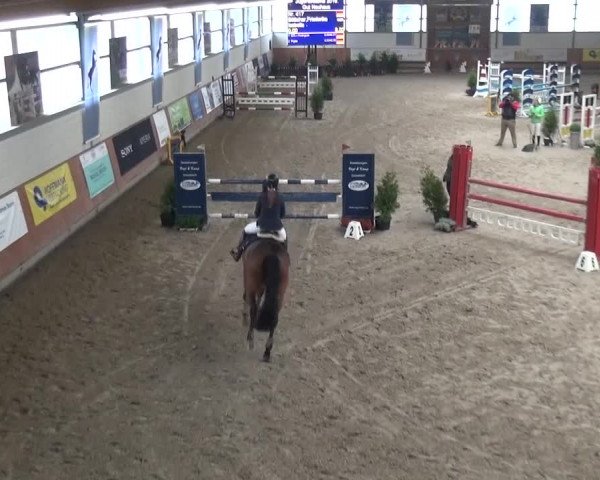 Gut Neuhaus Jugendfestival 2016 - Grevenbroich