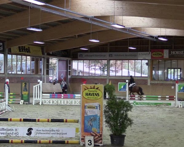 Hallen-Reitturnier Havixbeck-Hohenholte 2016