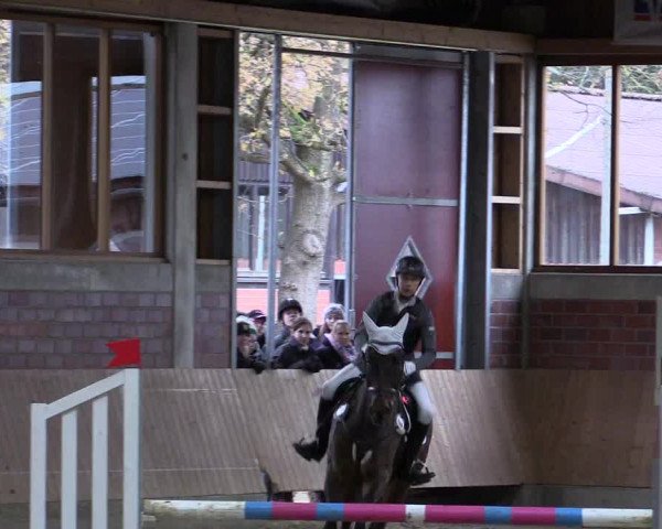 Hallen-Reitturnier Havixbeck-Hohenholte 2016