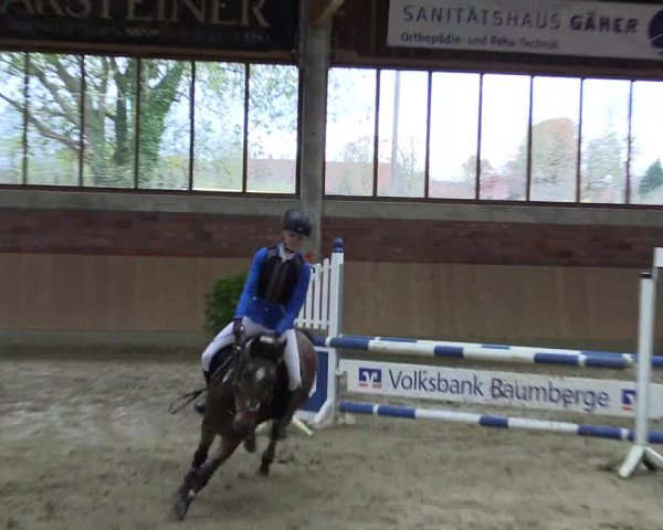 Hallen-Reitturnier Havixbeck-Hohenholte 2016