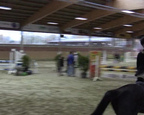 Hallen-Reitturnier Havixbeck-Hohenholte 2016