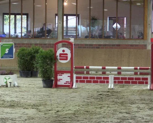 Hallen-Reitturnier Havixbeck-Hohenholte 2016