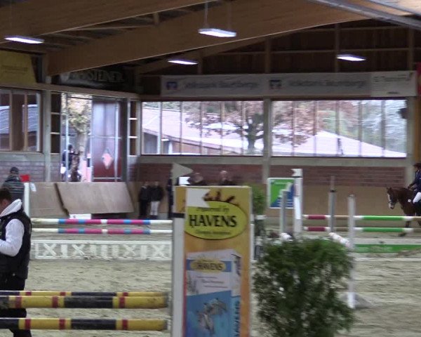 Hallen-Reitturnier Havixbeck-Hohenholte 2016