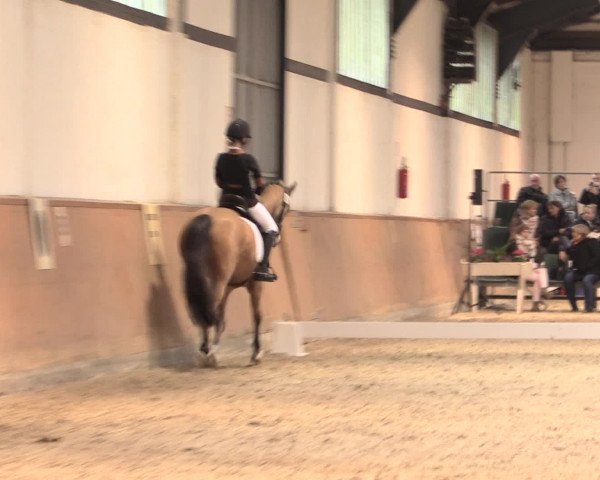Jugend-Challenge Verden 2016