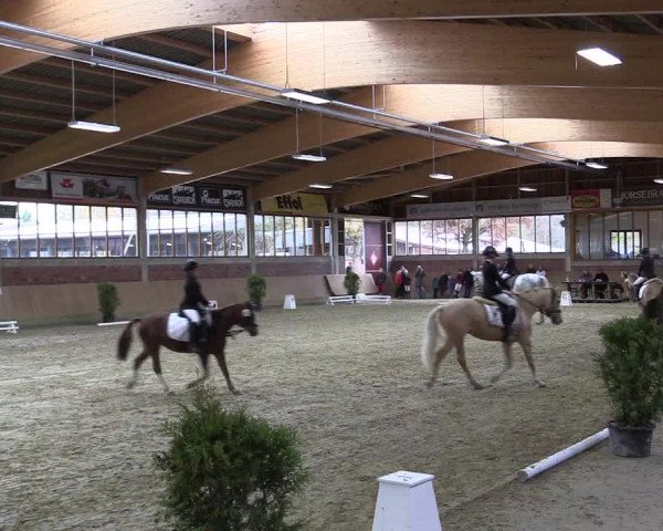 Hallen-Reitturnier Havixbeck-Hohenholte 2016