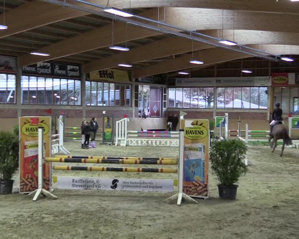 Hallen-Reitturnier Havixbeck-Hohenholte 2016